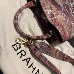 Multiple Color Brahmin